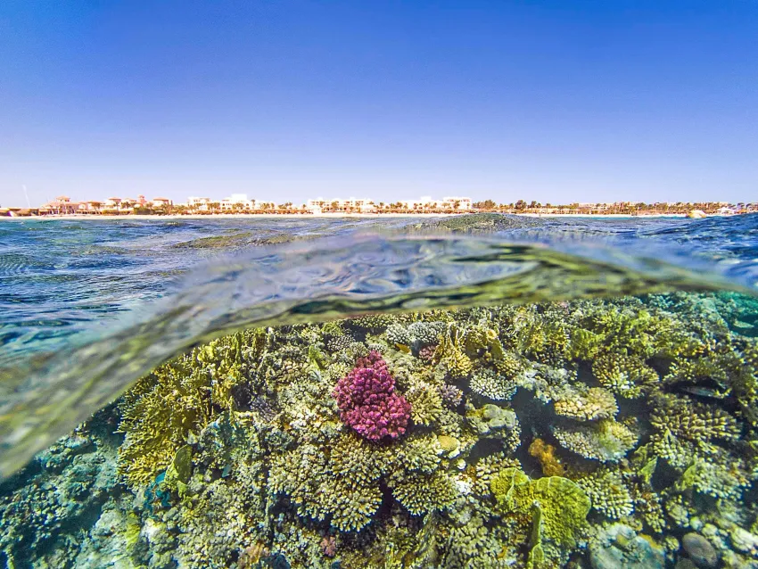Kempinski Hotel Soma Bay 5*-332