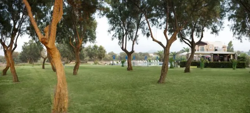 Lito Beach Hotel 3*-20