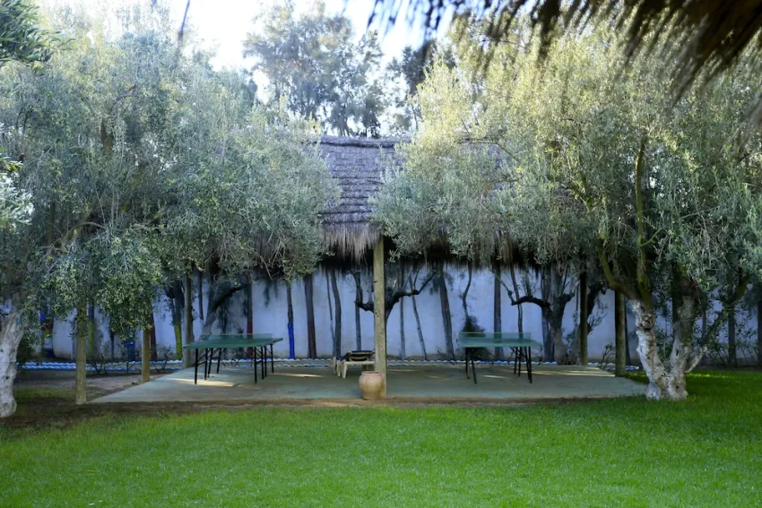 Hammamet Garden 4*-50