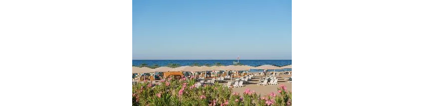 Kamelya Collection Fulya Hotel 5*-199