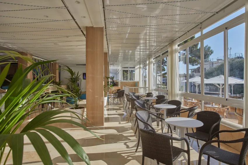 JS Paradise Sport - Adults Only 3*-16