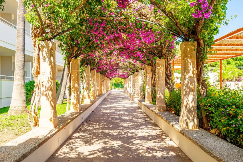 Intelier Rosella 4*-23