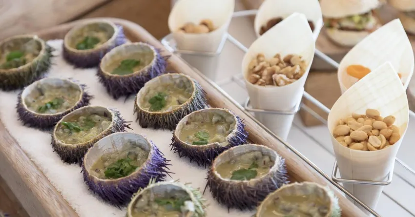 Melia Palma Marina 4*-419