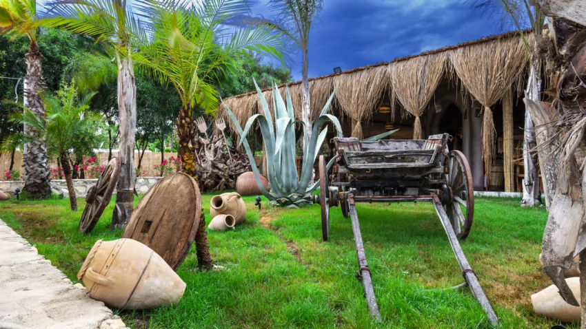 Dream Water World Hotel 5*-13