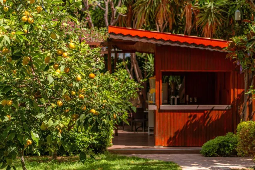 PRIMASOL TELATIYE RESORT HOTEL  5*-15