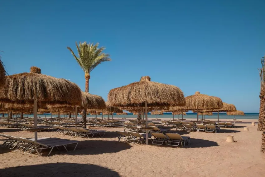 JAZ ELITE ASTERIA BEACH SAHL HASHEESH  5*-55