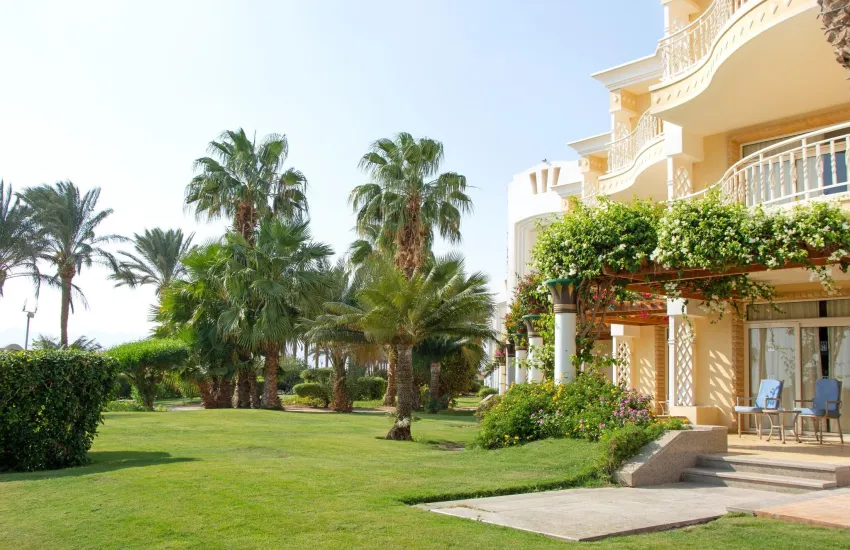 Palm Royale Soma Bay Resort 5*-112