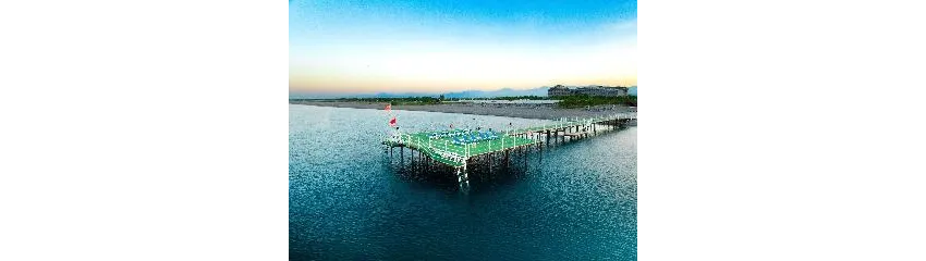 Asteria Family Resort Side (Ex Euphoria Palm Beach) 5*-76