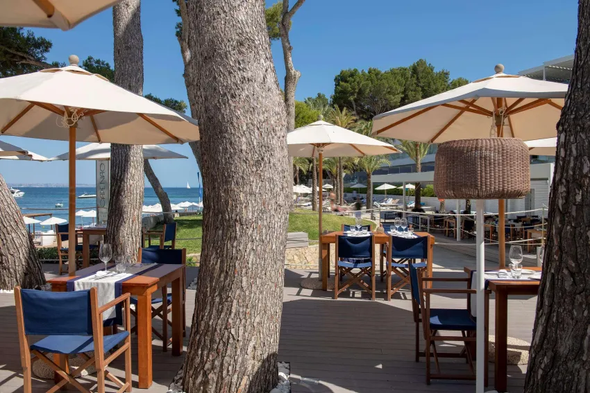 Melia Calvia Beach 4*-127