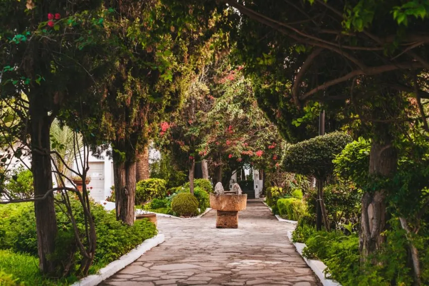 THE ORANGERS BEACH RESORT & BUNGALOWS  4*-10