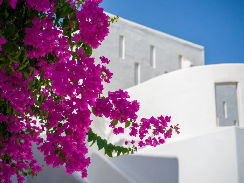 Knossos Beach Bungalows Suites Resort and Spa 5*-20