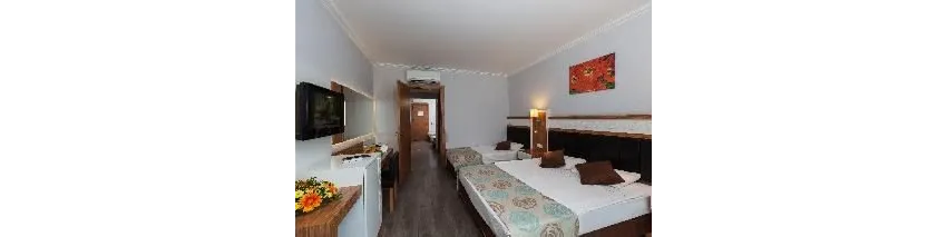 Hane Family Resort Hotel 4*-25