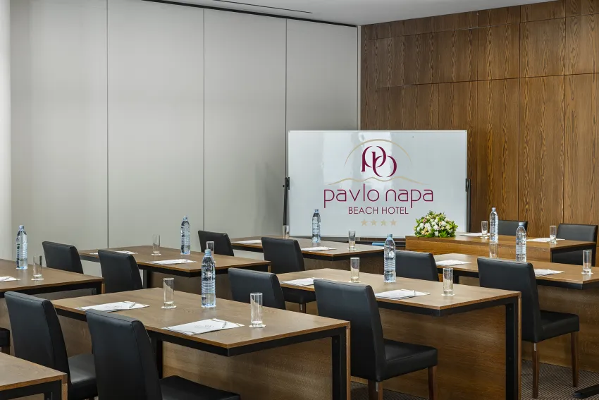 Pavlo Napa Beach Hotel 4*-134
