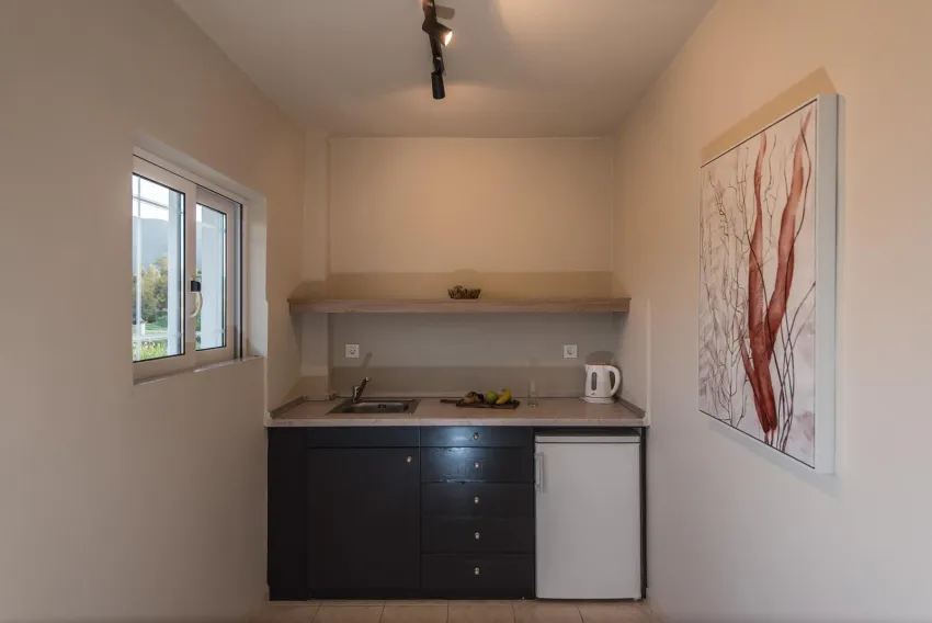 Alykanas Beach Grand Hotel 4*-20