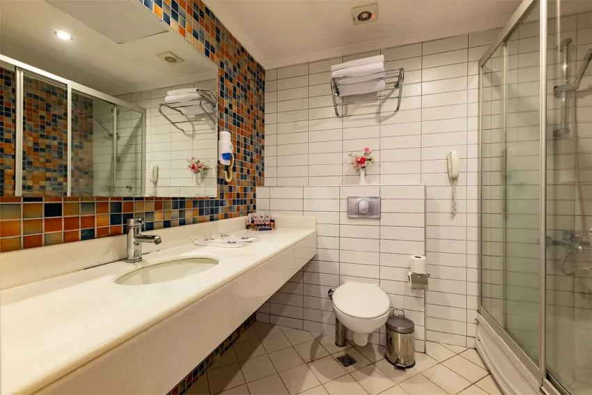 Viking Express Hotel 3*-17