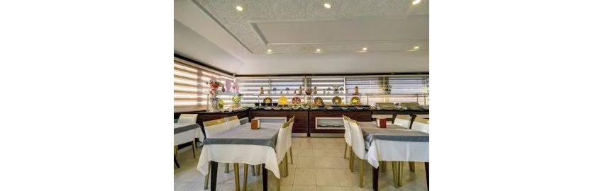 Ergun Hotel 3*-19