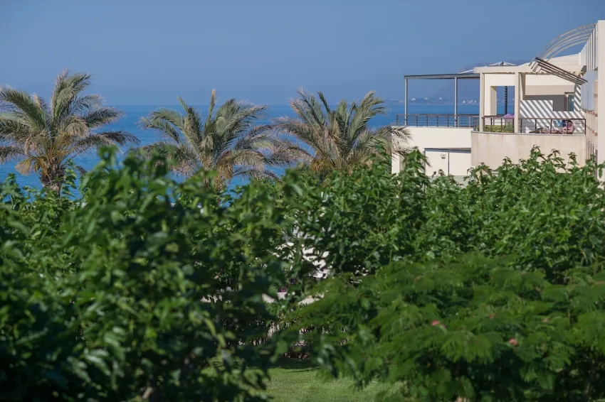 Cretan Dream Royal hotel 4*-251