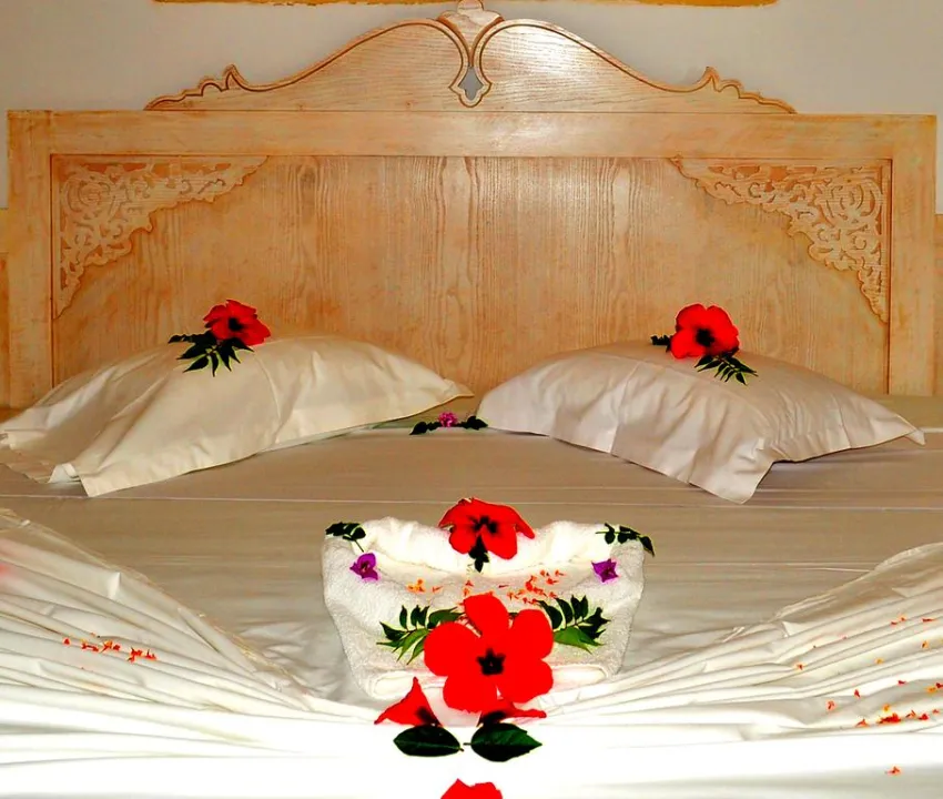 Hotel Zodiac 4*-2