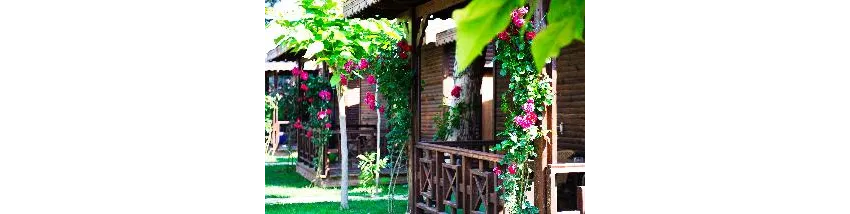 Flora Garden Beach (Adults Only 16+) 5*-274