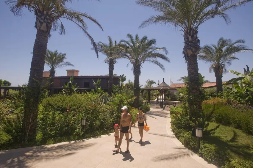 Crystal Family Comfort Collection 5*-8