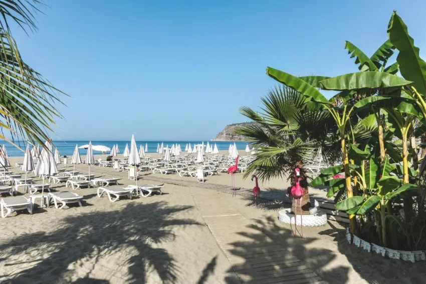 BLUE WAVE SUITE HOTEL  4*-20
