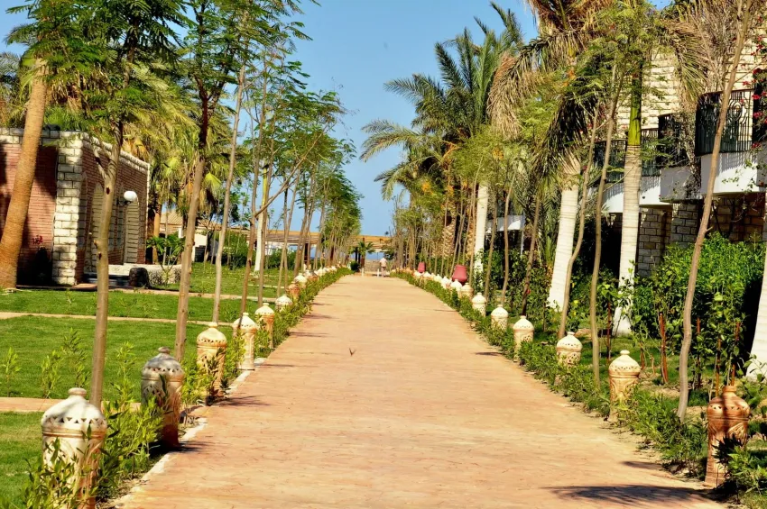 Aladdin Beach Resort 4*-2