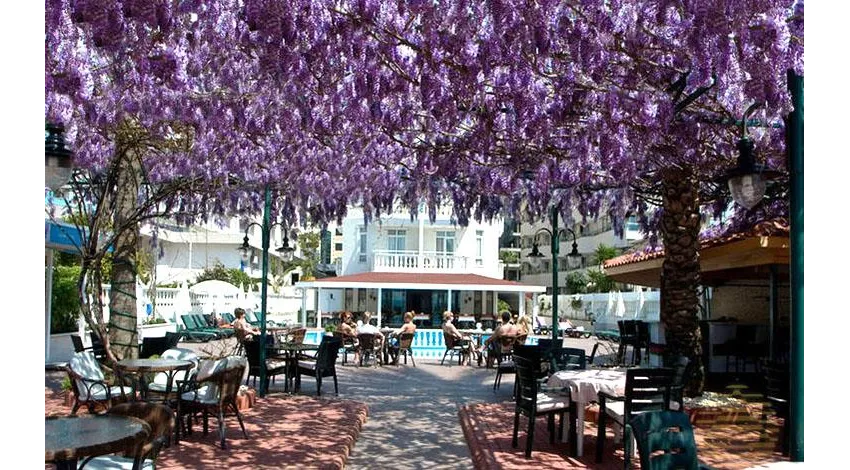 AZAK BEACH HOTEL  3*-8