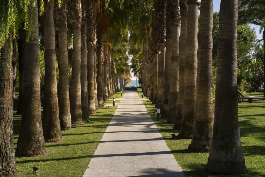 Miramare Beach Hotel 5*-5