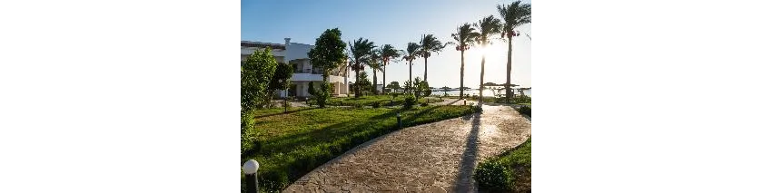 Sunrise Alma Bay Resort 4*-22