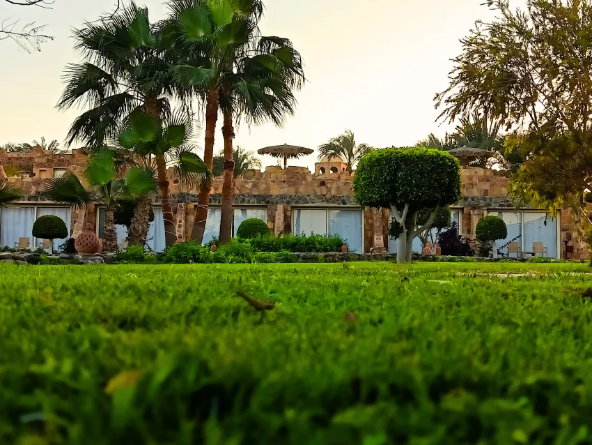Utopia Beach Club 4*-29