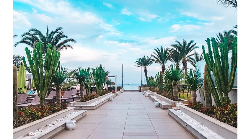 ROSA BEACH THALASSO & SPA (EX. SENTIDO)  4*-6