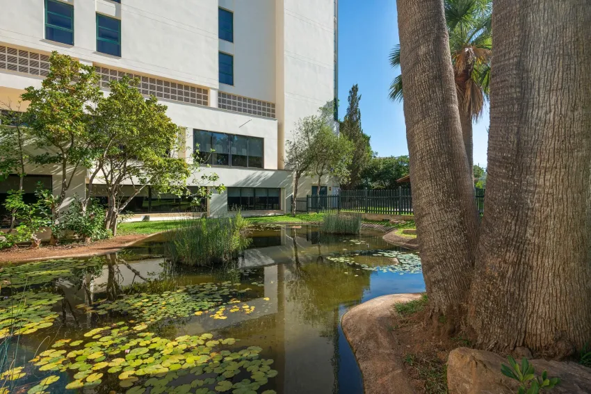 Welikehotel Marfil Playa 4*-3