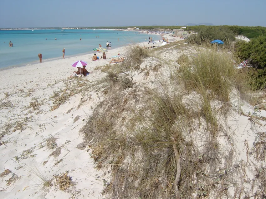 Isla de Cabrera Aparthotel 4*-95