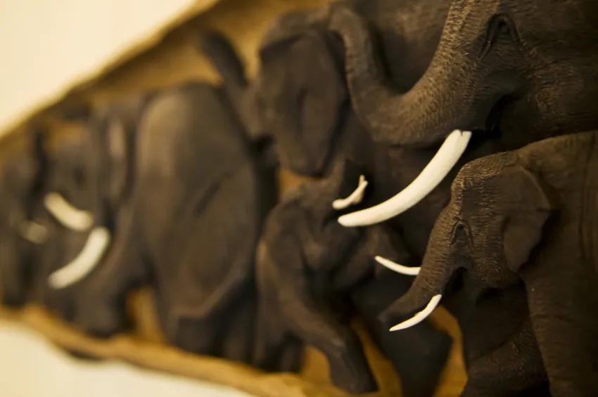 Lindner Hotel Mallorca Portals Nous 4*-64