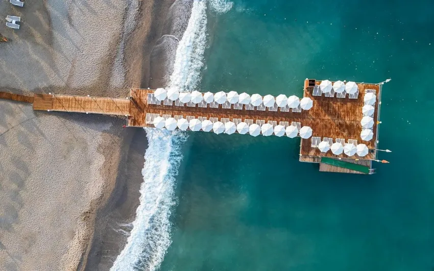 Dizalya Palm Garden 4*-17