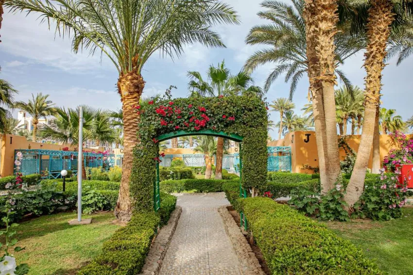 GIFTUN AZUR RESORT  3*-46