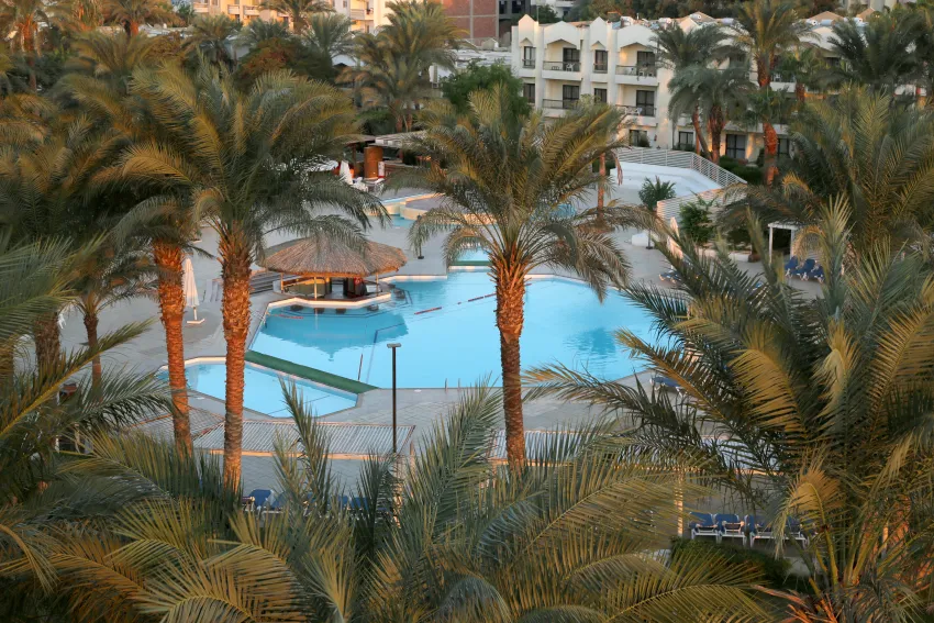 ZYA Regina Resort 4*-8