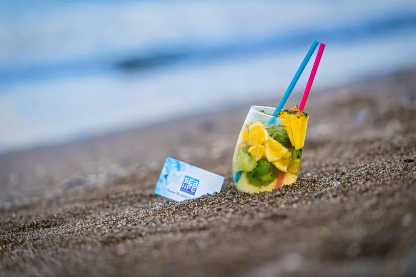 Sealife Kemer Resort Hotel 5*-258