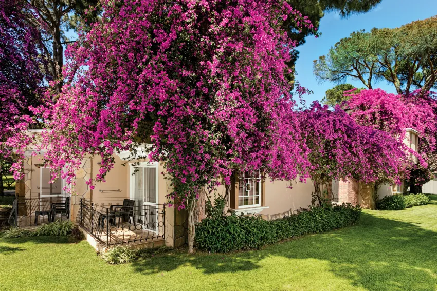 Pine Beach Belek 5*-200