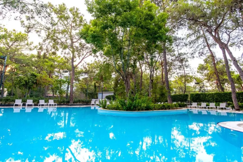 GYPSOPHILA CLUB MARINE   5*-45