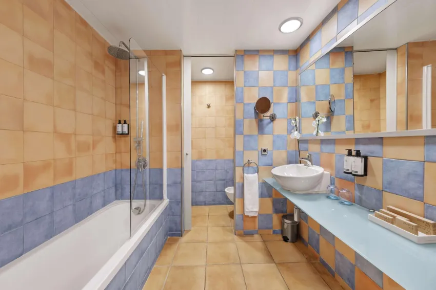 Occidental Playa de Palma 4*-12