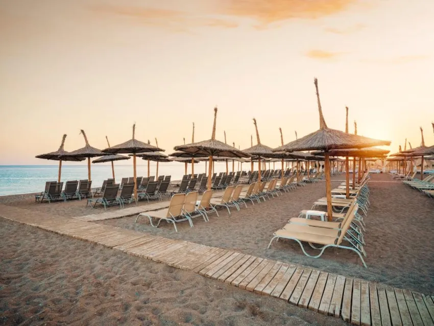 ASTERIA BLOOM SIDE (EX: SELECTUM FOR TWO SIDE)  5*-37