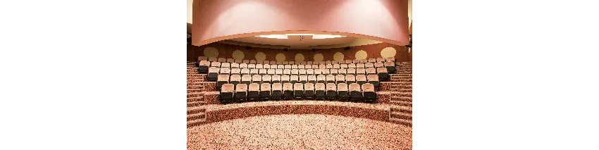 Paloma Sencia ( Ex Cornelia Deluxe Resort) 5*-50
