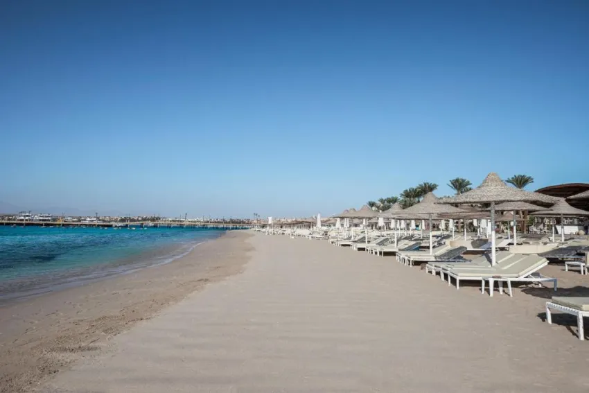FLOW SPECTRUM SAHL HASHEESH  4*-19