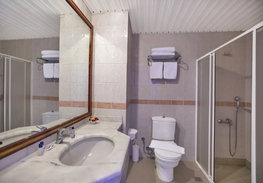 Ergun Hotel 3*-14