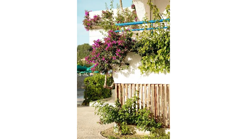 Cyprotel Faliraki 4*-7