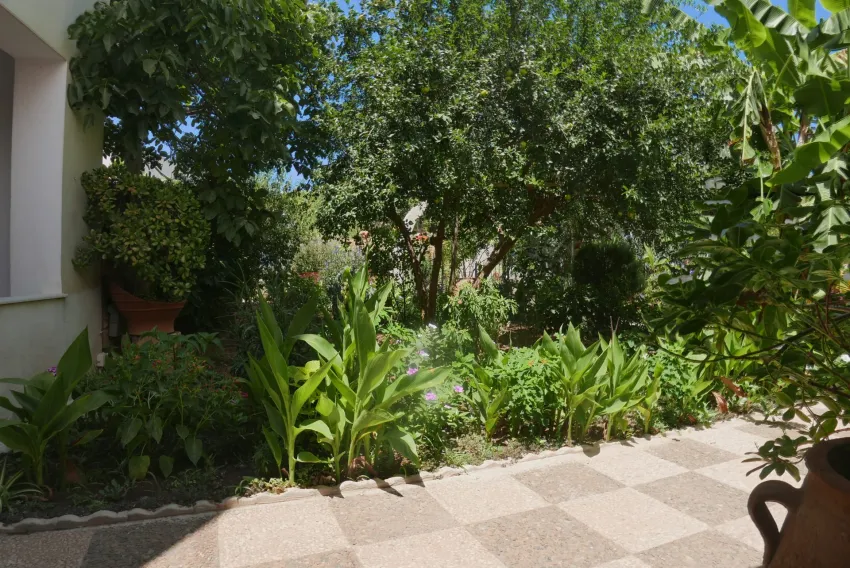 Dorian Apartments Bali 3*-8