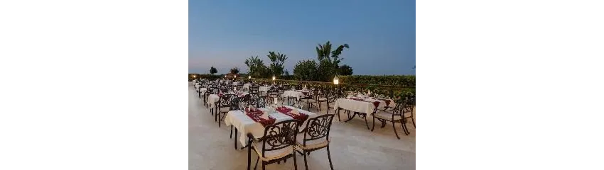 Diamond Excellence Resort (Ex.Crystal Palace Luxury) 5*-22
