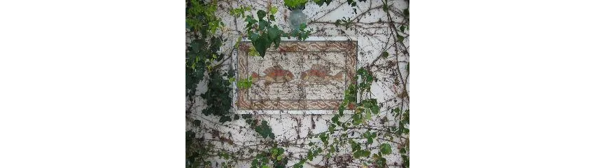 Hotel Residence Mahmoud 3*-23