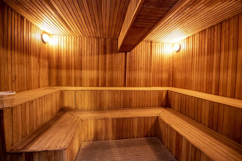 Viking Garden Hotel & Spa 4*-35